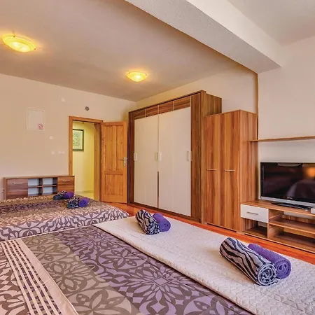 Nice Home In Bribir With Sauna *